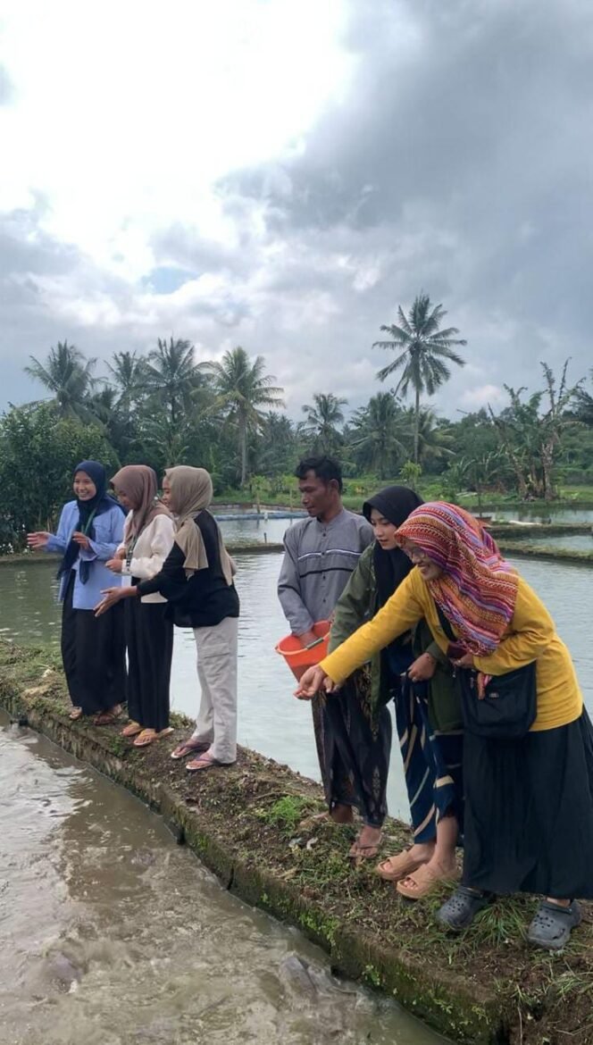 
					Kelompok 5 KKN Desa Cimahi Ikuti Proses Budidaya Lele di Karadenan, Dorong Pemberdayaan UMKM Perikanan